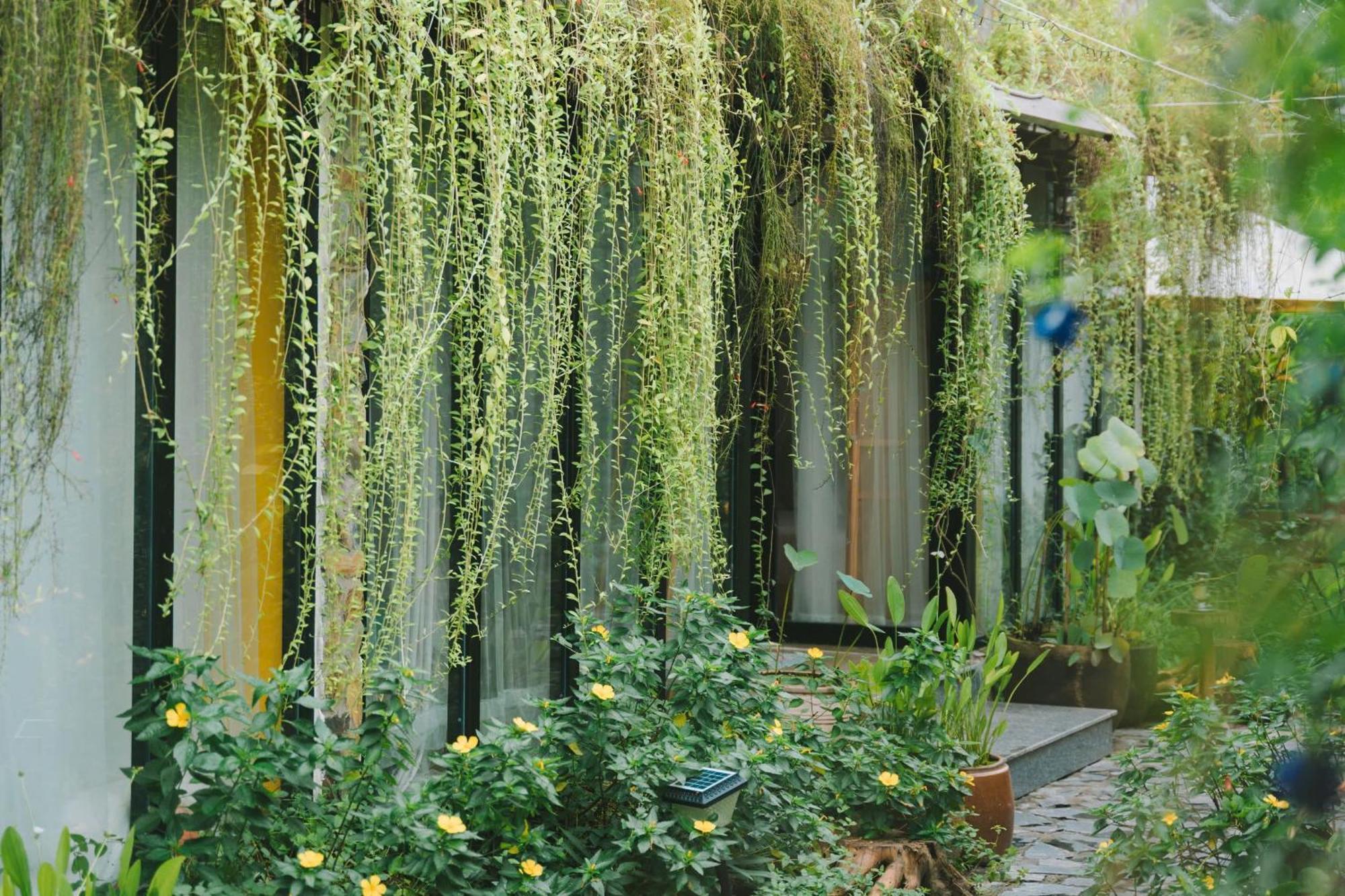 Ben Do Xua Homestay & Coffee Cai Rang Экстерьер фото