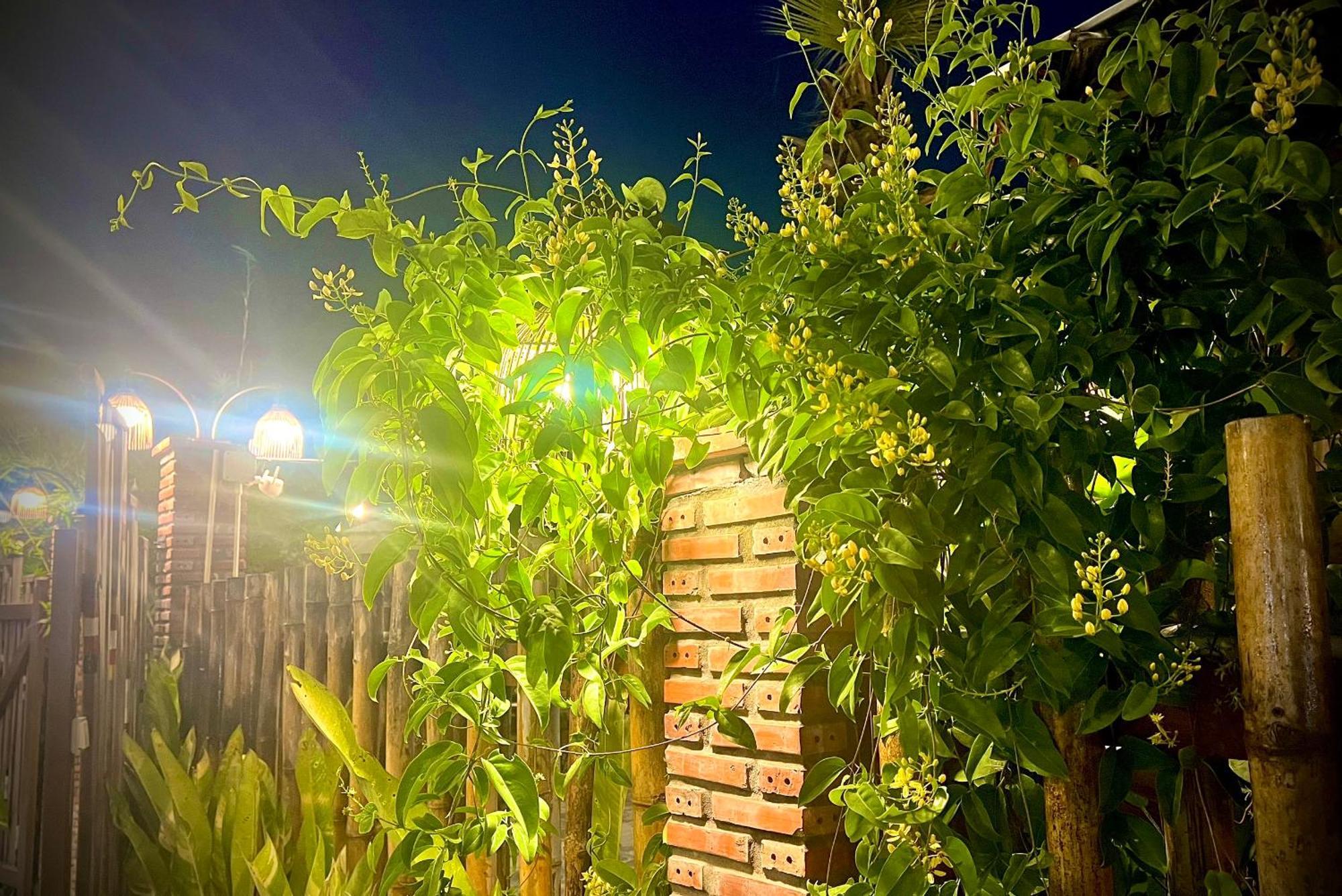 Ben Do Xua Homestay & Coffee Cai Rang Экстерьер фото