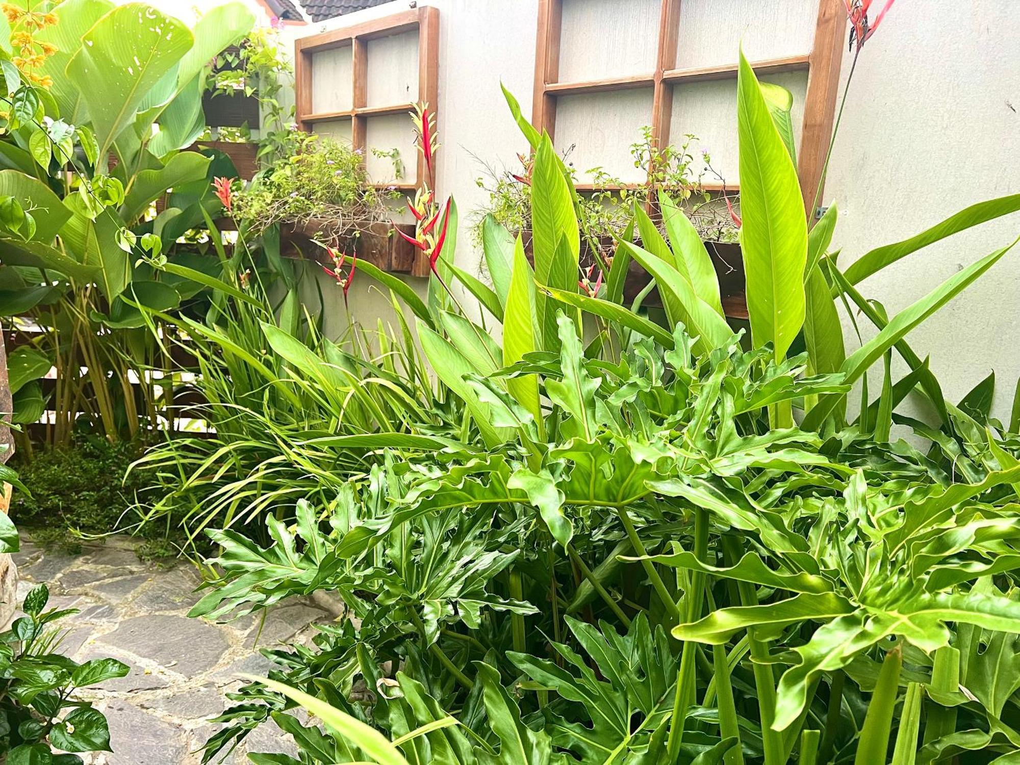 Ben Do Xua Homestay & Coffee Cai Rang Экстерьер фото